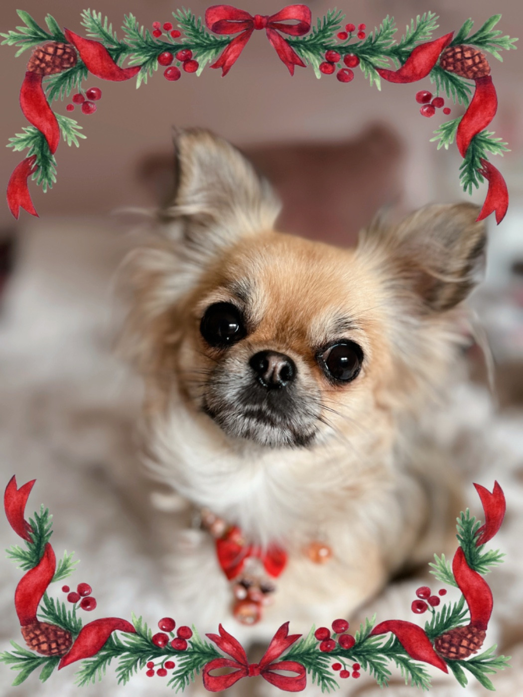 Joyeuses fêtes de Noël